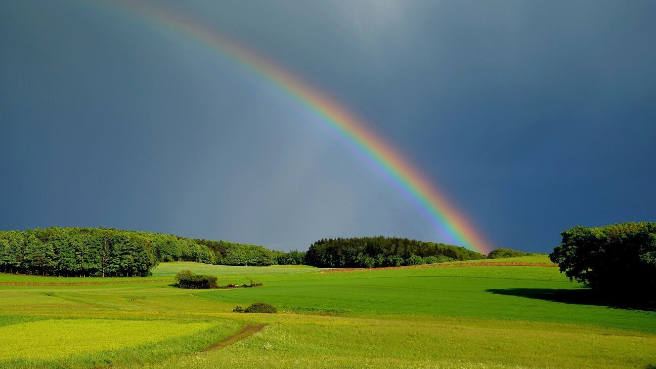 Regenbogen vor dunklem Himmel und grüner Wiese